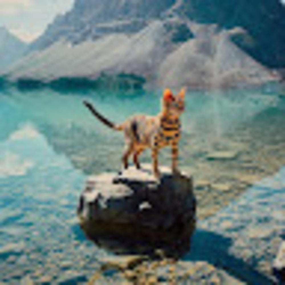 Meet your Posher, Maddox